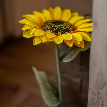 Ryo Golden Imperial 2 *