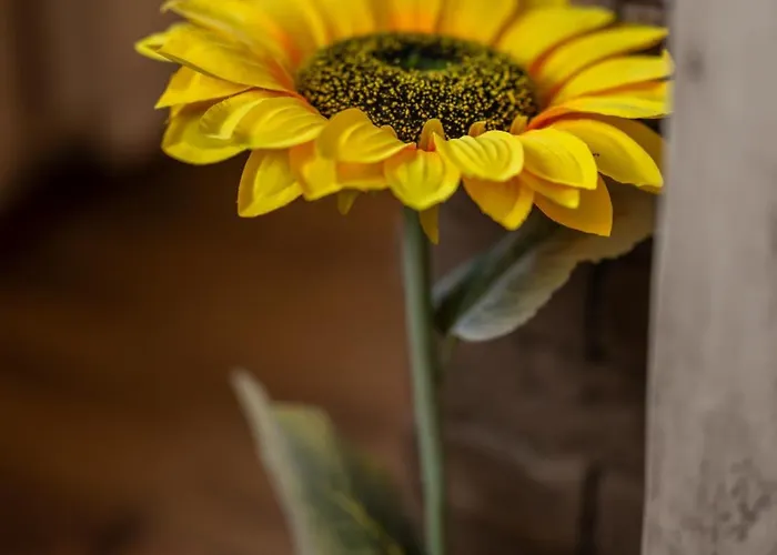 Ryo Golden Imperial 2 *